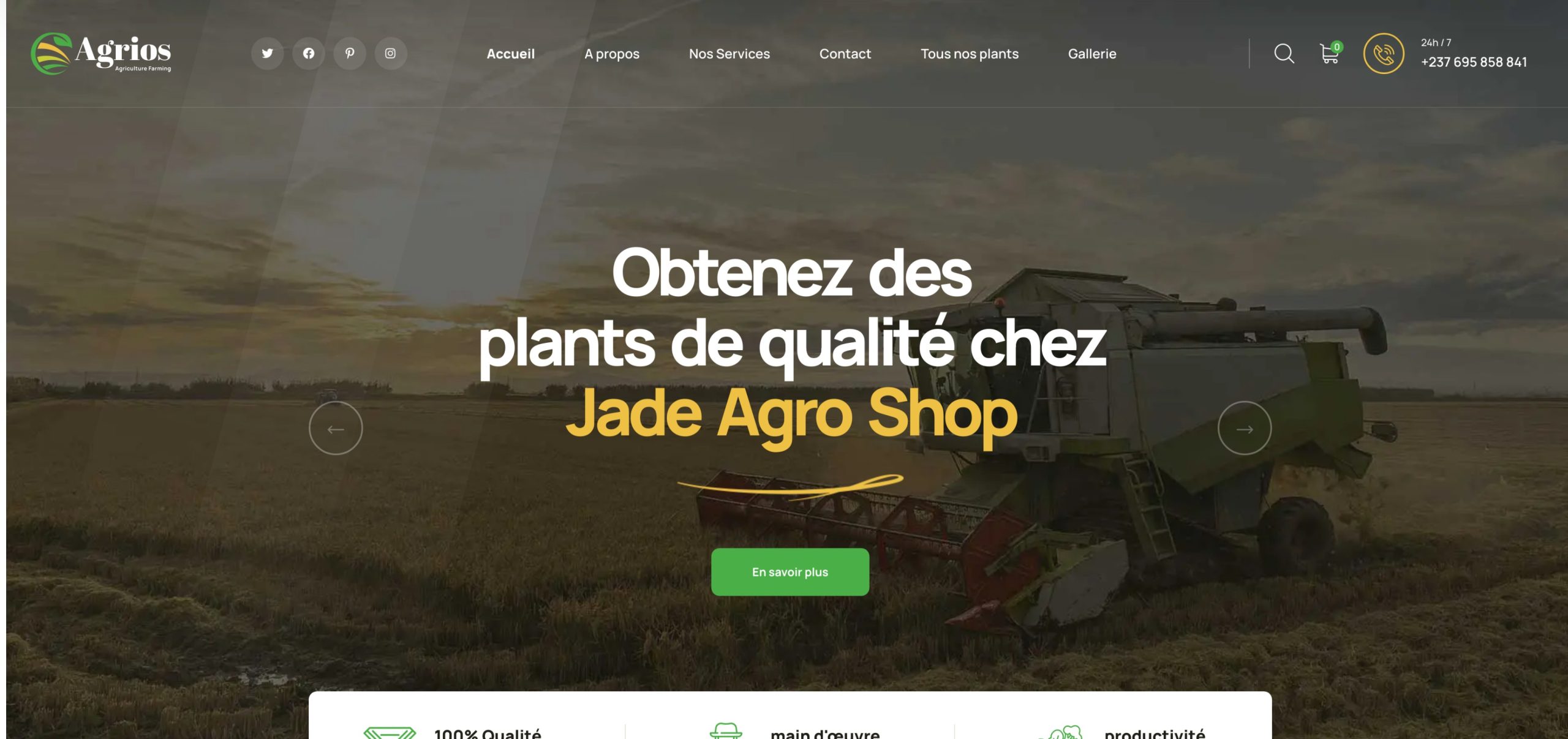 Capture d'écran du site Jade Agro Shop